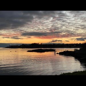 Meet your Posher, Alina